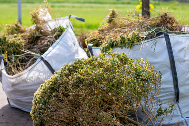 Best Same-Day Junk Removal  in Rice Lake, WI